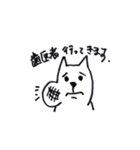 きまたのねこ24（個別スタンプ：13）