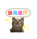 ケバブ大勝利（個別スタンプ：1）