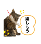 ケバブ大勝利（個別スタンプ：5）