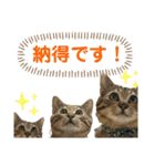 ケバブ大勝利（個別スタンプ：10）