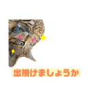 ケバブ大勝利（個別スタンプ：13）