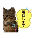 ケバブ大勝利（個別スタンプ：14）