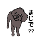 友達の家の犬（個別スタンプ：24）