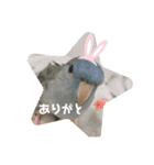 インコのumi（個別スタンプ：4）