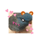 インコのumi（個別スタンプ：16）