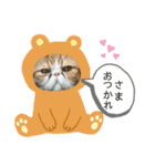 もなかともちまろ（個別スタンプ：4）