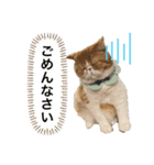 もなかともちまろ（個別スタンプ：10）