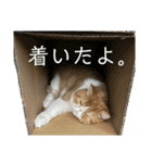 もなかともちまろ（個別スタンプ：15）