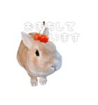 ネザーのみみちゃん4（個別スタンプ：2）
