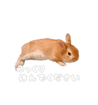 ネザーのみみちゃん4（個別スタンプ：7）