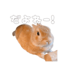 ネザーのみみちゃん4（個別スタンプ：18）