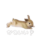 ネザーのみみちゃん4（個別スタンプ：23）