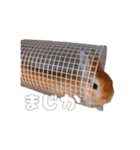 ネザーのみみちゃん4（個別スタンプ：29）