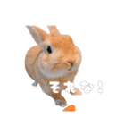 ネザーのみみちゃん4（個別スタンプ：32）