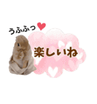 *うさぎのうさちゃん*みんなのスタンプ♪⑤（個別スタンプ：2）