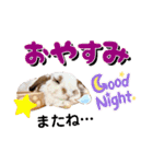 *うさぎのうさちゃん*みんなのスタンプ♪⑤（個別スタンプ：38）