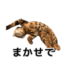 ぺたと覇王丸（個別スタンプ：9）