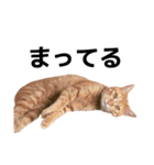ぺたと覇王丸（個別スタンプ：12）
