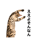 ぺたと覇王丸（個別スタンプ：15）