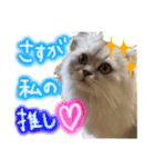 ヲタクのはるひくん（個別スタンプ：1）