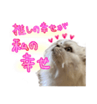 ヲタクのはるひくん（個別スタンプ：2）