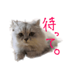 ヲタクのはるひくん（個別スタンプ：5）