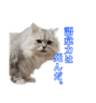 ヲタクのはるひくん（個別スタンプ：7）