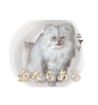 ヲタクのはるひくん（個別スタンプ：8）