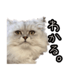 ヲタクのはるひくん（個別スタンプ：9）
