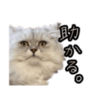 ヲタクのはるひくん（個別スタンプ：10）