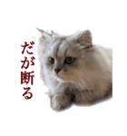 ヲタクのはるひくん（個別スタンプ：11）