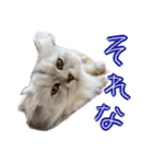 ヲタクのはるひくん（個別スタンプ：14）