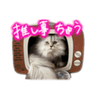 ヲタクのはるひくん（個別スタンプ：16）