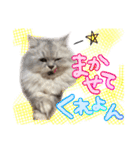 ヲタクのはるひくん（個別スタンプ：18）
