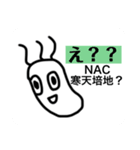 ピロリ君の日常～大学生編～（個別スタンプ：12）
