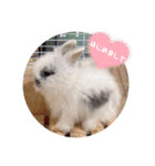 Minchopila 1（個別スタンプ：1）