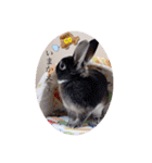 Minchopila 1（個別スタンプ：14）