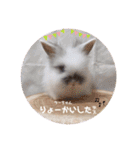 Minchopila 1（個別スタンプ：22）