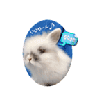 Minchopila 1（個別スタンプ：27）