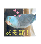 マメルリハのリルちゃん（個別スタンプ：8）