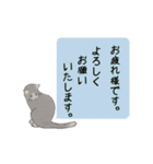 猫ちゃんボード ～定番敬語文～（個別スタンプ：19）