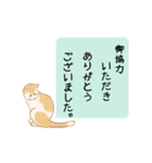 猫ちゃんボード ～定番敬語文～（個別スタンプ：23）