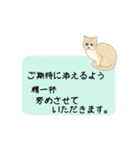 猫ちゃんボード ～定番敬語文～（個別スタンプ：36）