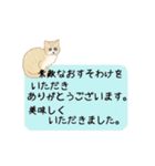 猫ちゃんボード ～定番敬語文～（個別スタンプ：38）