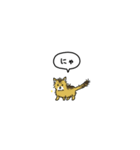小さい子猫ソマリ(フキダシ)（個別スタンプ：1）