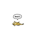 小さい子猫ソマリ(フキダシ)（個別スタンプ：10）