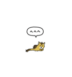 小さい子猫ソマリ(フキダシ)（個別スタンプ：18）