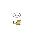 小さい子猫ソマリ(フキダシ)（個別スタンプ：35）