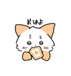 はつらつねこ（個別スタンプ：3）