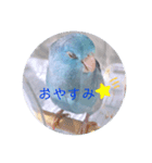 リルᒼᑋªⁿ✿（個別スタンプ：2）